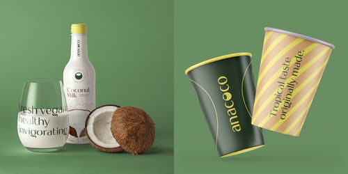 从饮品到个人 椰汁品牌形象重塑与个人形象设计的双重启示